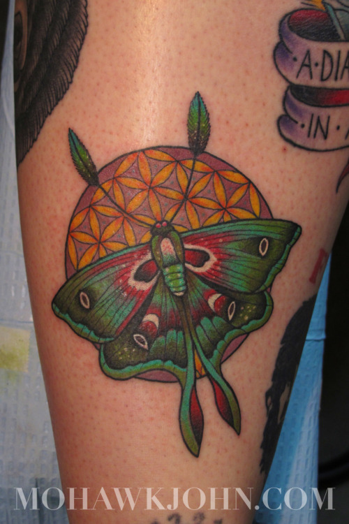 a luna moth with the flower of life pattern two of natures mysteries