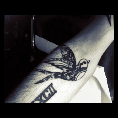 tattoo swallow swallow tattoo bird bird tattoo 