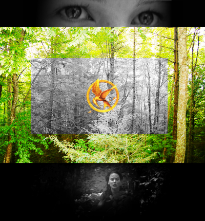 
Happy Hunger Games.
