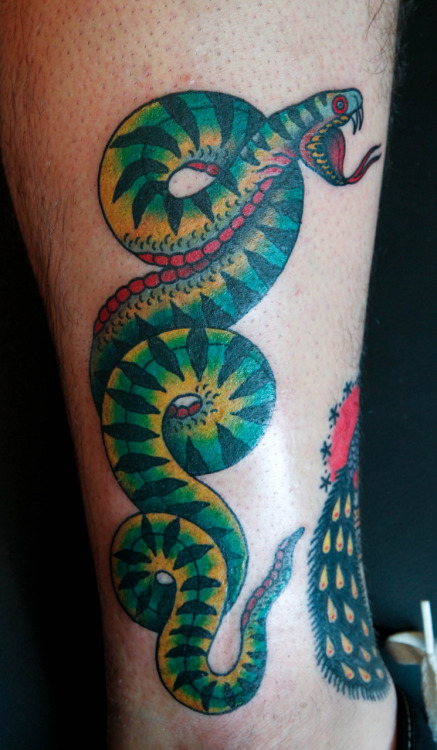 tattoos shops in maryland. SSSSSSSSSsssssssssssnake. I tattooed this snake yesterday on a great fellow 