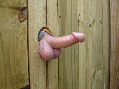 menandcocks:

I think my partner and I should put a glory hole in our barn. Think anyone would want to use it?
