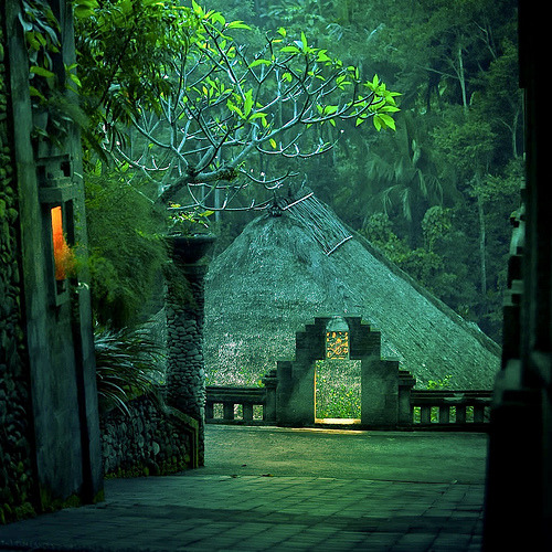 Green Rainforest (by ►CubaGallery)