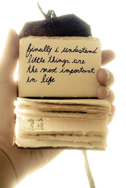  (quote,saying,little things,important,life)
