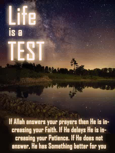Life is a test