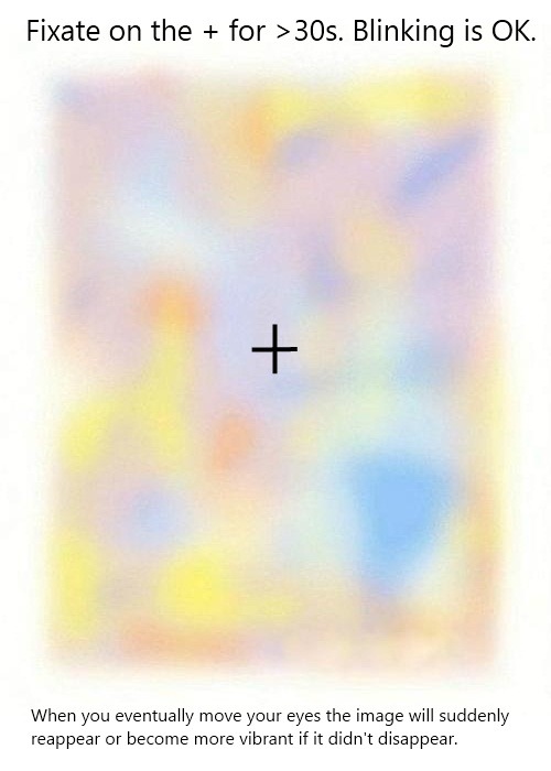 Optical Illusion of the Day: If you stare at the plus sign long enough, the image around it will disappear. Go on. Stare at the plus sign. Nothing will jump out at you. It’s just a really cool optical illusion. It’s 100% safe.

I promise. 