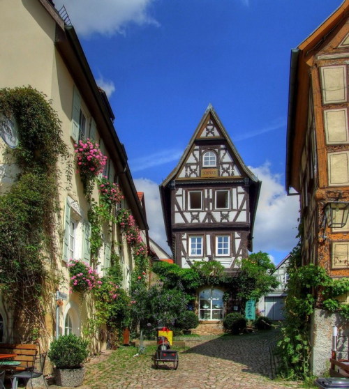explore-the-earth:

Bad Wimpfen, Germany