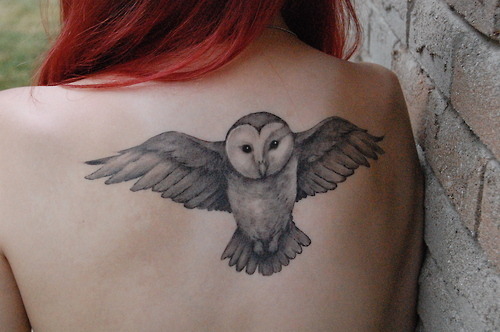  owls owl bird owl tattoo bird tattoo tattoo