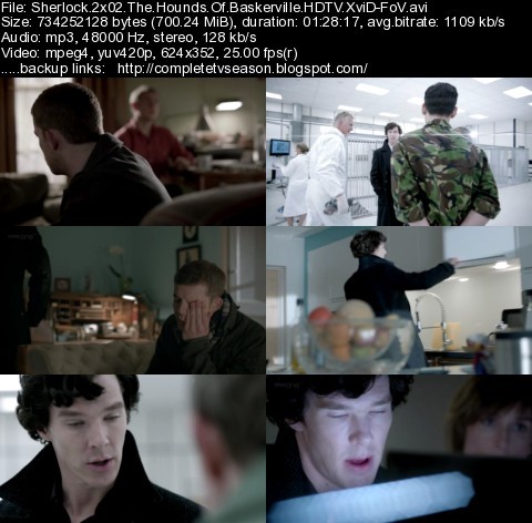 Sherlock S02E02 The Hounds Of Baskerville HDTV XviD-FoV