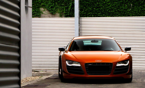 Audi R8 in'Samoa Orange' Image by RGF Photography Posted by