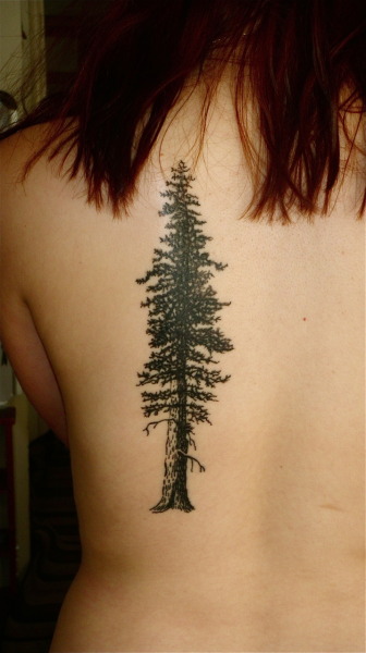 This giant sequoia redwood tree is my first tattoo. I got it because I can truly say that there is no where I&#8217;d rather be than hiking in the redwood forests of the west coast. As a California native that has since moved to the midwest, I love having this piece of my home to take with me. I just got it a week ago and am absolutely in love with it.
It was done by Brucius at Black and Blue Tattoo in San Francisco.
rhymeswrachel.tumblr.com