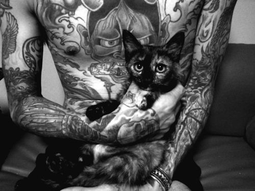 tagged as black and white bw cat body modification tattoo 