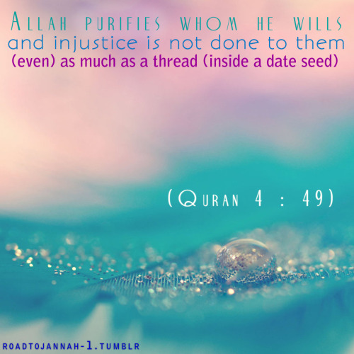 “… Allah purifies whom he wills, and injustice is not done to them, (even) as much as a thread (inside a date seed)” Quran  (4:49)