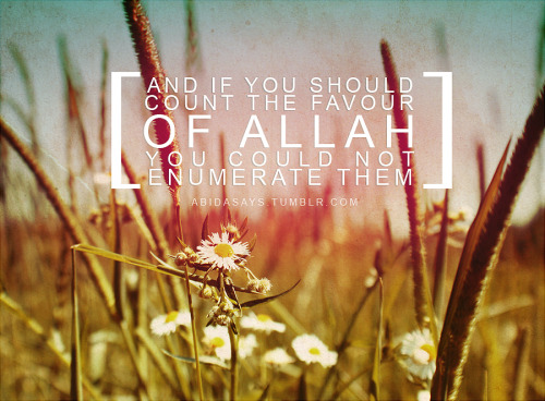 If you count Allah’s favour
Surah al nahl: verse 18


