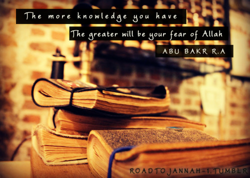 roadtojannah-1:

The more Knowledge you have, the greater will be your fear of Allaah[Abu Bakr (RA)]