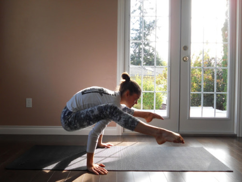 allesfit:

Firefly (Tittibhasana).
Source and photo step-by-step instruction how to.
