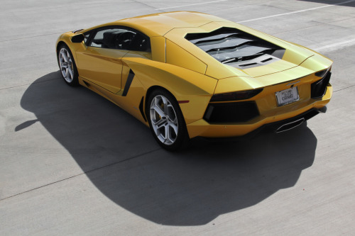Posted 11 February 2012 and tagged as Lamborghini Aventador LP7004 yellow