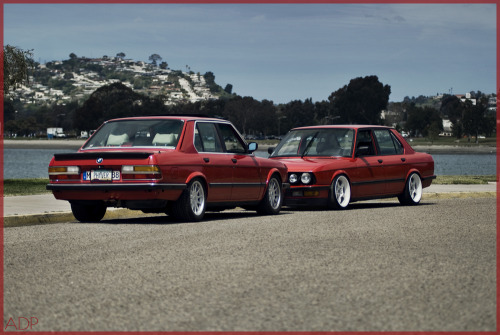 Love E28's They seem to have gone up in price at 