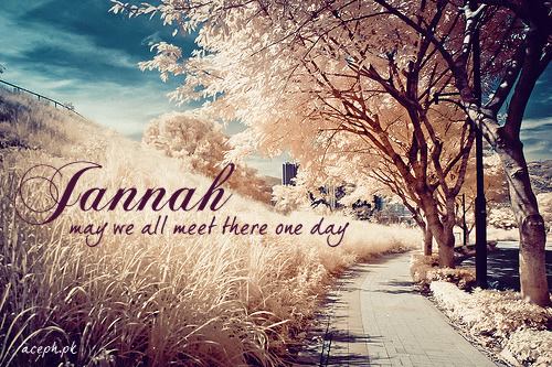 Jannah - May we all meet there