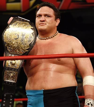 That90sguy Brock Lesnar 11 Ruler of all Big Show