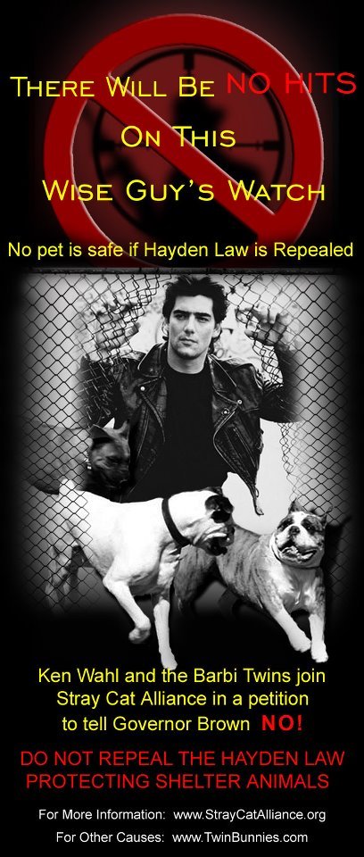 Ken Wahl the Barbi Twins join Stray Cat Alliance in a petition to tell