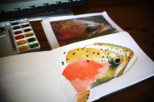 the process. catch fish. take picture. sketch fish. paint fish.