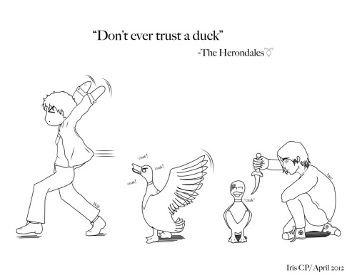 I think the fandom may have to get together to support some duck charity after all this&#8230;
sweetdarknessblog:

I did this some days ago :DI think in Herondale’s shield (heraldry), this should be the motto:“Don’t ever trust a duck” xD You know… for future generations. Even if they are closely related or not xD
I think it’s really funnyWill - The Infernal Devices © Cassandra ClareJace - from The Mortal Instruments © Cassandra ClareDucks xDD © me :3
