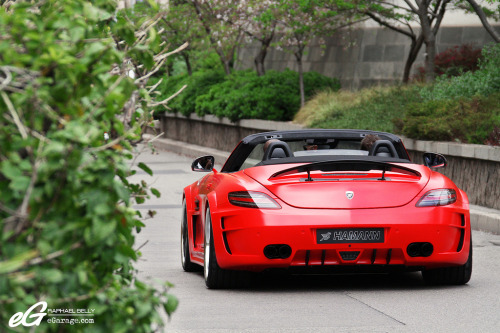 Mansory Ferrari 599 Stallone Posted May 1 2012 at 547 pm 6 notes