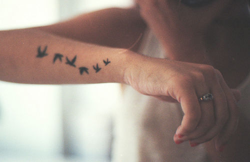 tattootattoosphotographygirlbirdbirds