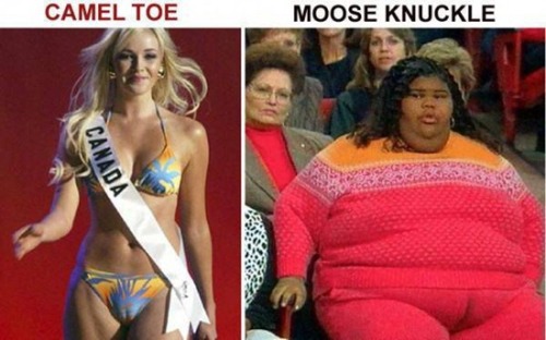 Fat ugly girls with camel toe