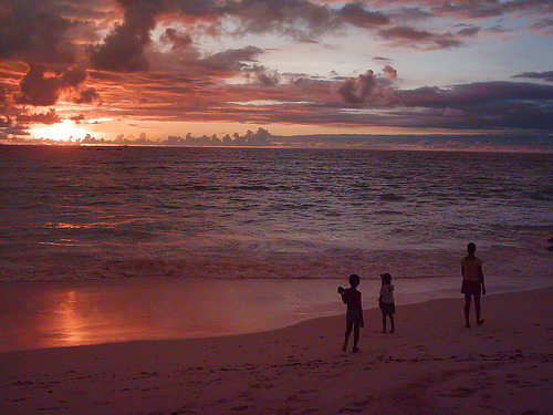 seychelles_0193 (by knulp71) 