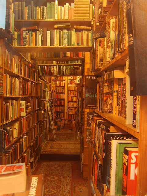 Armchair Books, Edinburgh, Scotland (photo by Fergus Ray Murray) 
