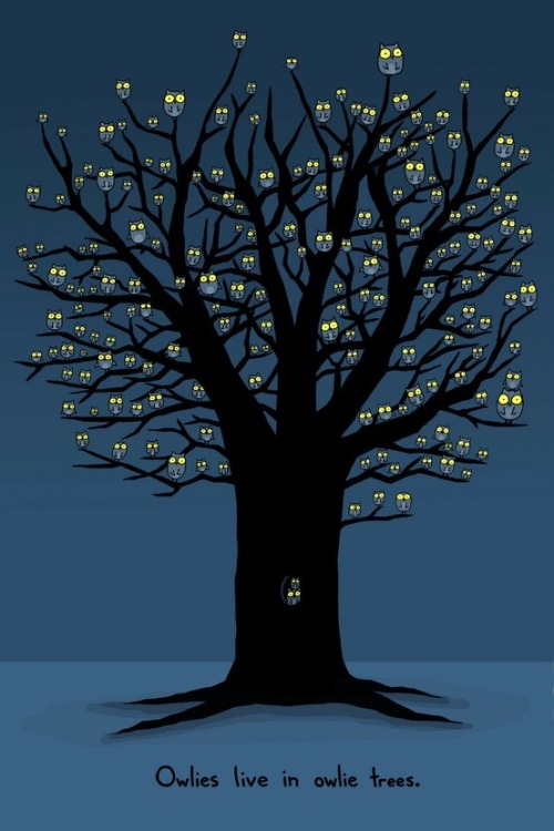 thewoodbetween: Owlies Live In Owlie Trees. Sebastien Millon. 