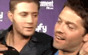 See! I told you. Even Jensen likes him!